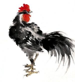 Λουκιανοῦ Ἀλεκτρυών // Lucian’s Rooster
