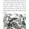 Pegasus. An Easy Ancient Greek Reader
