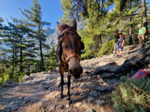 Conversational Ancient Greek for Beginners (Part 2)